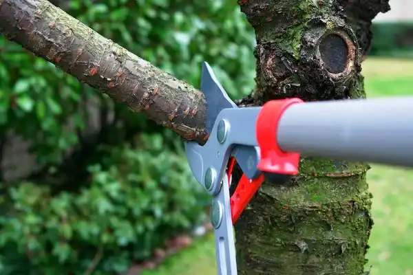 tree services Milford